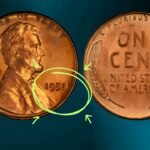 Rare Lincoln Wheat Penny Worth $234,000